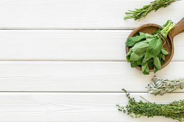 Bunches of fresh spicy herbs for cooking and treatment, top view