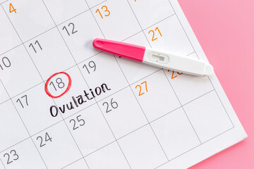 Fototapeta premium Female calendar with Ovulation day with pregnancy test