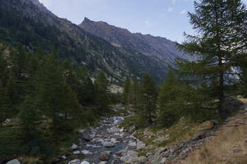 Fototapeta na wymiar Ruscello di montagna con sassi e acqua limpida, italia