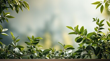 Obraz premium Plant leaves cast a blurry shadow on the white wall. Minimal abstract background for product presentation. Spring and summer.