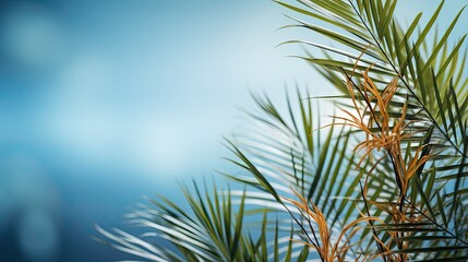 Fototapeta premium Plant leaves cast a blurry shadow on the white wall. Minimal abstract background for product presentation. Spring and summer.