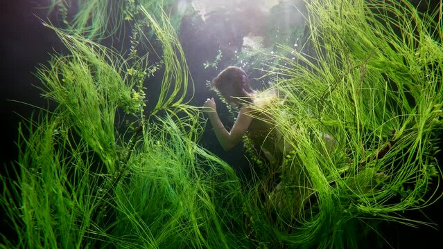 underwater slow motion with tender woman swimming between seaweeds in fetal position