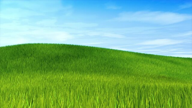 3D animation - Green meadow with tall grass gently moving in the wind and blue sky with moving white clouds