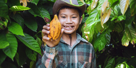 Portraits of Asian boy cocoa farmer happy smiling at harvested ripe cacao pods in hand agriculture in a cocoa plantation