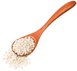Raw highland barley in the wooden spoon, isolated on white background.