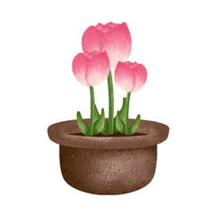 pink tulip in pot,Fower in a pot,floral,Flower,plant,flora,nature,watercolor,cartoon character,cute,icon ,vector, illustration,hand drawn
