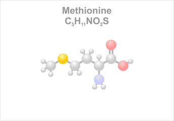 Methionine. Simplified scheme of the molecule.