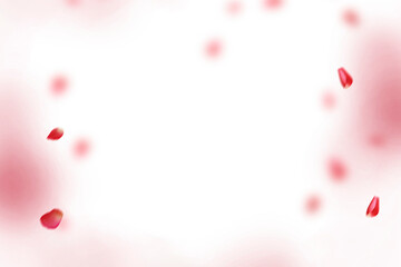 Floating red rose petal isolated on on a transparent background png. Background concept for love greetings on valentines day and mothers day. Space for text