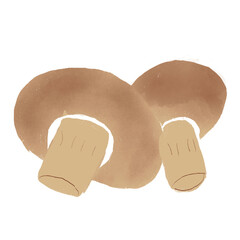 mushrooms isolated on white background