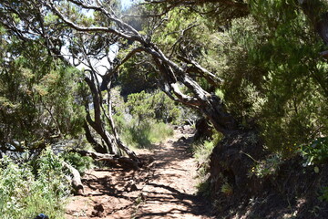  Madera Pico do Arieiro do Pico Ruivo