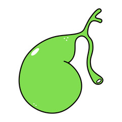 Gallbladder character. Vector hand drawn traditional cartoon vintage, retro, kawaii character illustration icon. Isolated on white background. Gallbladder character concept