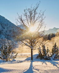 winter landscape in the mountains with snow covered trees