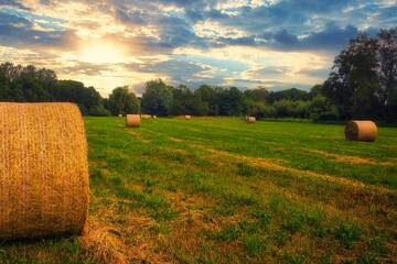 bales of hay - Strohballen - Heuballen - Heu - Stroh  - field - harvest - summer - straw - farmland...