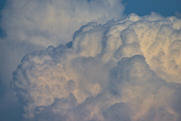 Kłębiasta, biała chmura wypiętrzająca się ku górze. Jest to chmura cumulonimbus powstająca na granicy frontu atmosferycznego. Jej powstawanie często zapowiada intensywny deszcz. - obrazy, fototapety, plakaty