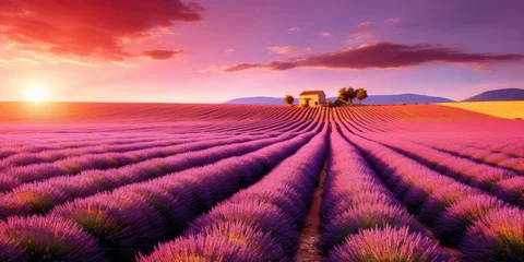 Fotobehang Beautiful purple lavender fields at sunset, Valensole, Provence, France, Europe © Sasint