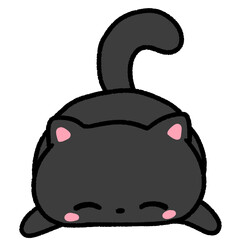 Black cat sleeps comfortably.