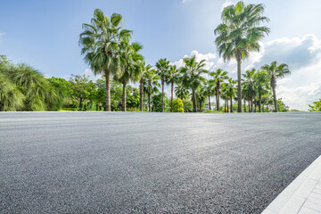Asphalt road and tropical woods background - Powered by Adobe