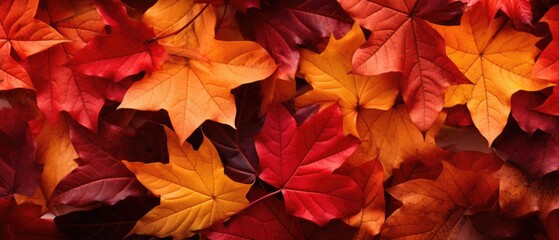 Naklejka na ściany i meble Red and Orange Autumn Leaves Background, Generative AI