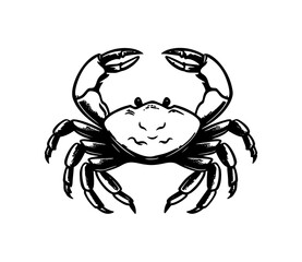 Crab isolated on white background. Vector crab vector on white background