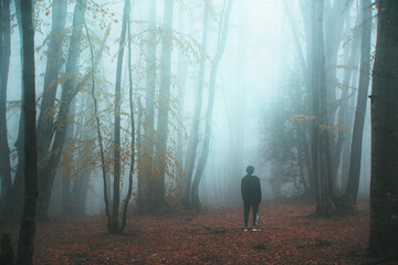 Un homme se tient dans une for&ecirc;t brumeuse