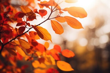 Fototapeta premium Autumn leaves in the sun. Beautiful nature background with colorful leaves. blurred background. generative AI