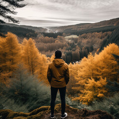 Person overlooking a forest in the autumn