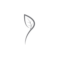 Leaves icon vector set isolated on white background. Various shapes of green leaves of trees and plants