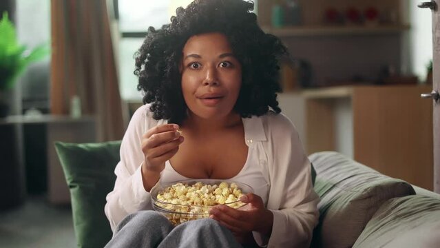 Camera view of addicted focused young curly woman watching interesting TV program film movie and eating popcorn alone at home Enchanted curly girl cannot take her eyes off the screen indoors