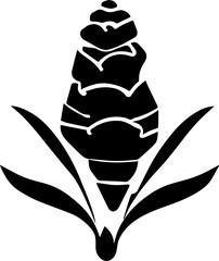 Zingiberaceae flower icon