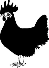 Brahma Chicken icon 3