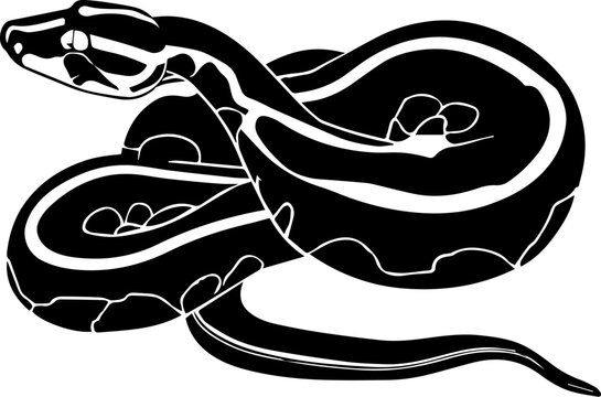 Bredl&rsquo;s Python icon 1