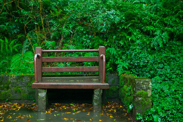 Taipei, Yangmingshan, forest, trails, rest areas, public chairs, forest trails,