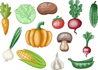 vector illustration set of colored vegetables