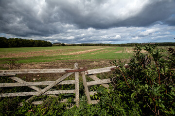 Fototapeta na wymiar Farmland in Cumbria
