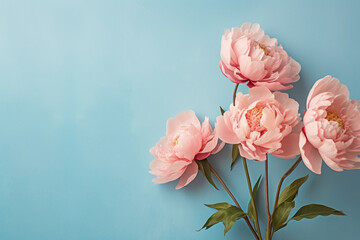 Peony flowers on pastel background with copy space