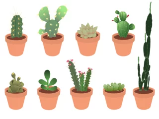 Fotobehang Cactus in pot Succulents. Cacti in ceramic pots. A set of various cacti. Set of cacti for stickers, greeting cards. Vector illustration in flat cartoon style.