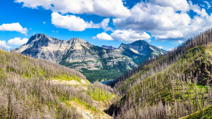 Vimy Peak and Mount Boswell, as viewed from the road to Cameron lake, along Cameron creek, Waterton Park, Alberta, Canada in Waterton Lakes National Park.