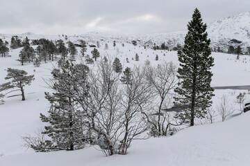 Snow landscape in the mountains of arctic Norway in winter