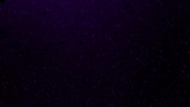 Background of Purple dots that flying to the top. Background animation for particle dots its floating.