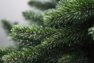 Seasonal Splendor: White Background Christmas Tree