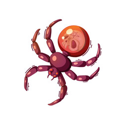 Halloween Spider Illustration