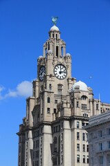 Fototapeta na wymiar Royal Liver Building in Liverpool UK