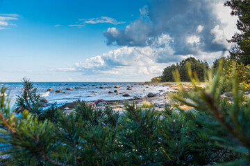 view from the sea,daytime seascape, with blue water, stones, forest and beach