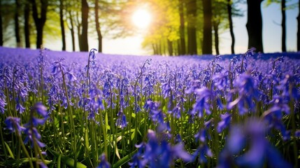 Obraz premium a field full of purple flowers next to a forest of trees. generative ai