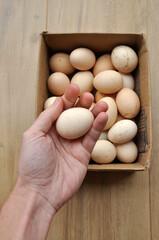 caixa de ovos de galinha orgânico 