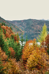 autumn landscape in the mountains, fall, indian summer, foliage