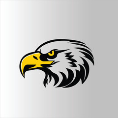 american bald eagle illustration