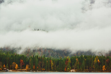 misty morning in the mountains, lake, autumn, fall, bavaria, germany, austria, canada, eibsee