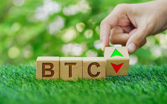 Hand turns wooden cube with word BTC ( Bitcoin) and arrow down change to arrow up over green bokeh green nature background. cryptocurrency is Digital Money within the blockchain network concepts.