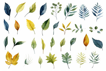 水彩調の植物のイラスト。北欧風の 葉っぱのイラスト。